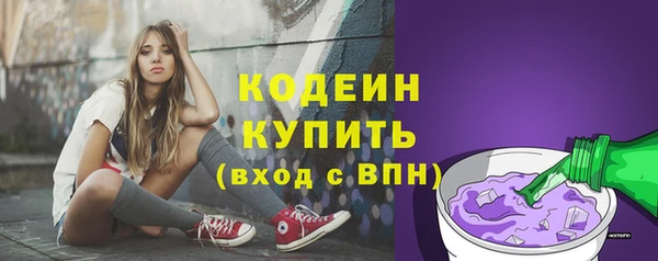 соль ск Михайлов