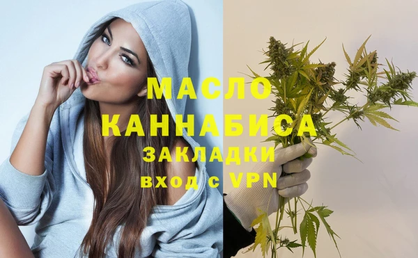 соль ск Михайлов
