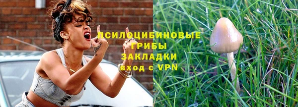 соль ск Михайлов
