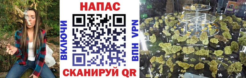Купить где  Калязин  Каннабис семена 